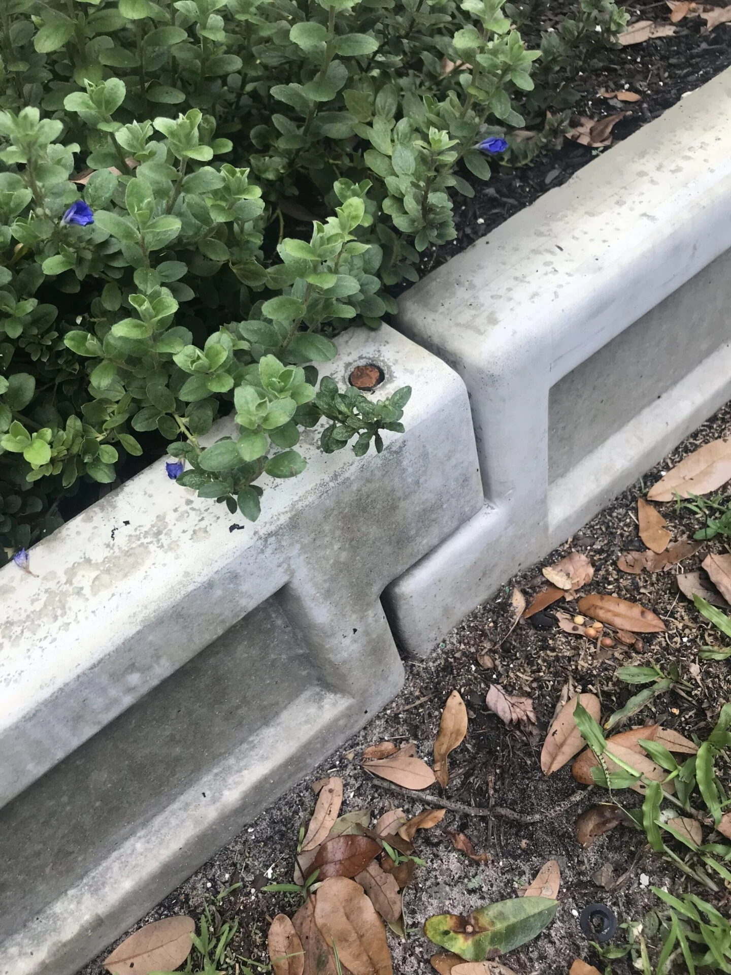 This is a picture of one-bed block garden box setup with rebar concrete from ABDMOLDS.COM